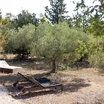 Holiday home Casa Sa Curcurica