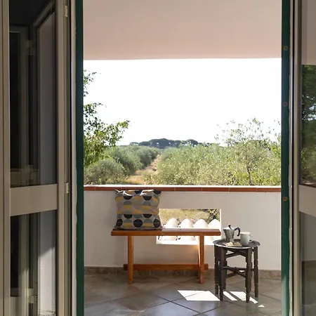 Casa Sa Curcurica *